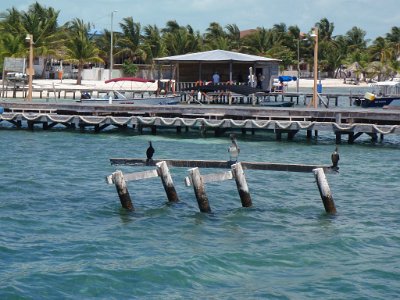 Belize Trip 2009
